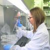 Diez ideas para un entorno más amable y compatible con la maternidad en los grupos de investigación.